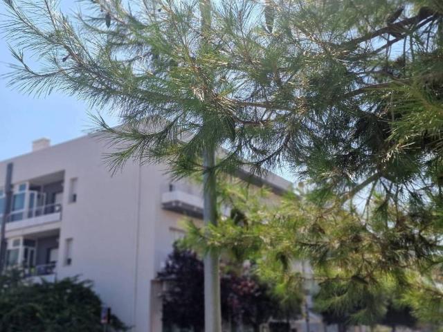 Appartamento in vendita a Giulianova TE