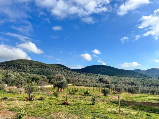 Appartamento in vendita a Grosseto GR