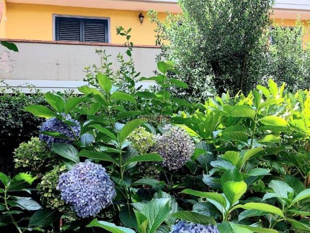 Appartamento in vendita a Grottaferrata RM