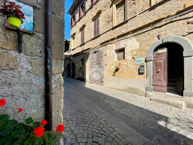 Appartamento in vendita a Grotte di Castro VT