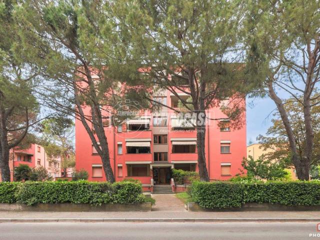 Appartamento in vendita a Imola BO
