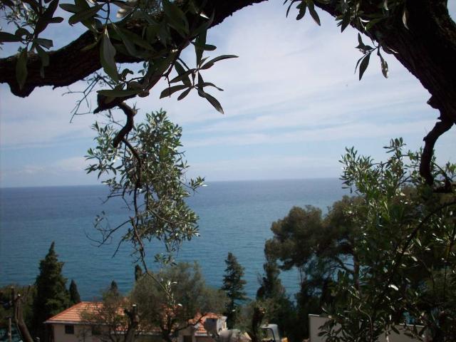 Appartamento in vendita a Imperia IM