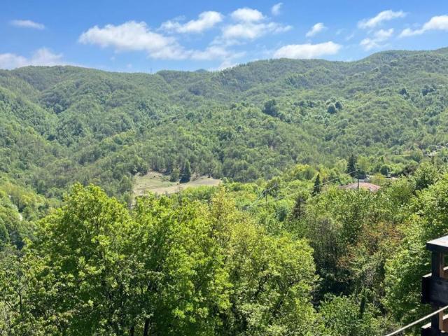 Appartamento in vendita a Isola del Cantone GE