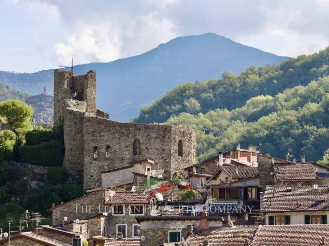 Appartamento in vendita a Isolabona IM