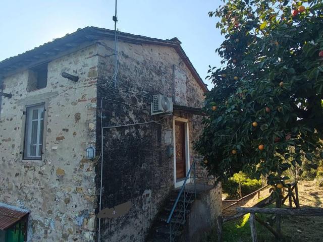 Appartamento in vendita a Lucca LU