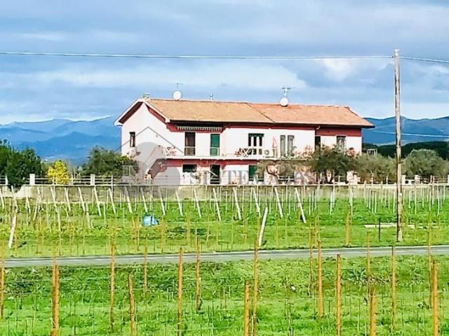 Appartamento in vendita a Luni