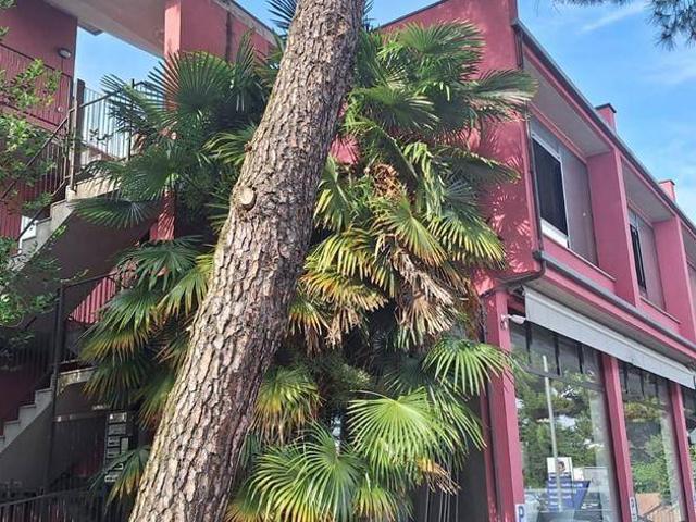 Appartamento in vendita a Legnano MI