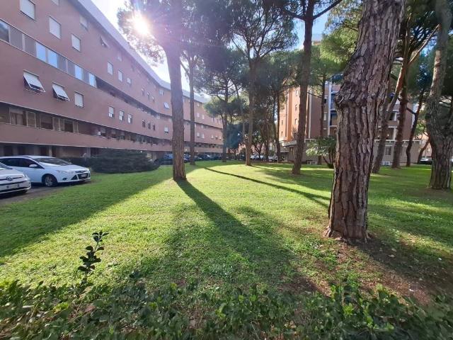Appartamento in vendita a Livorno LI