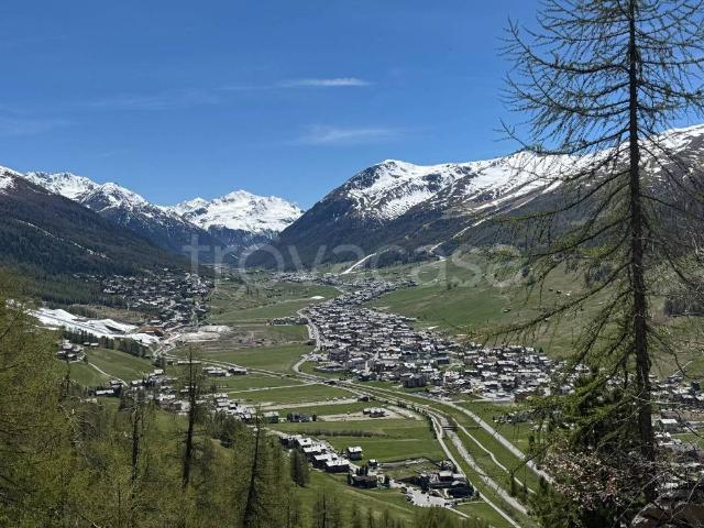 Appartamento in vendita a Livigno via Dala Madonìna