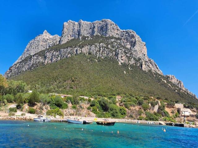 Appartamento in vendita a Loiri Porto San Paolo SS