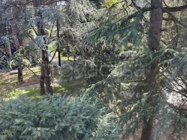Appartamento in vendita a Padova via Sografi, San Camillo Nazareth