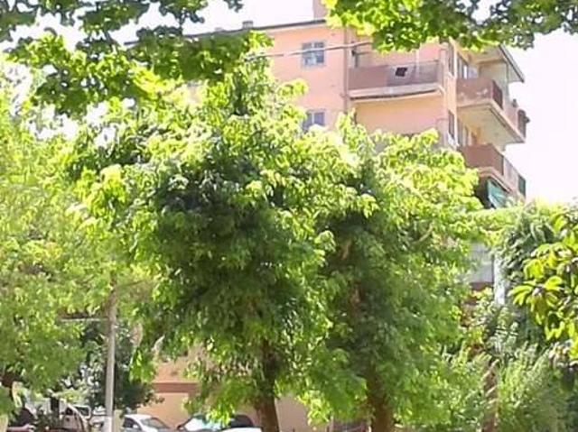 Appartamento in vendita a Padova PD