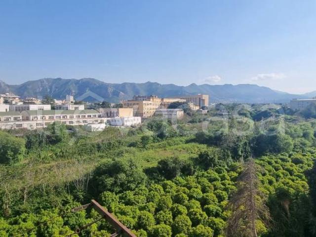 Appartamento in vendita a Palermo via Eduardo Carapelle, 14, Università