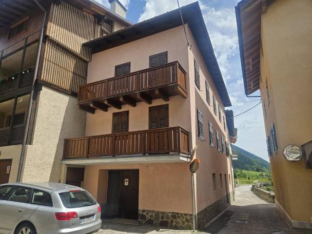 Appartamento in vendita a Pellizzano TN