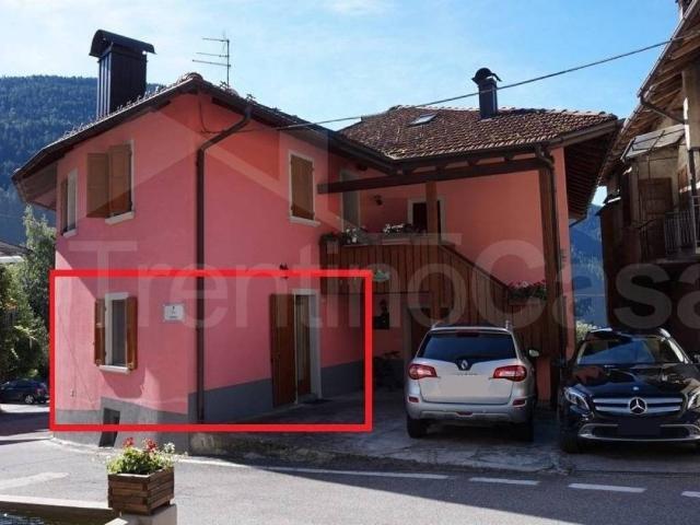 Appartamento in vendita a Pelugo TN