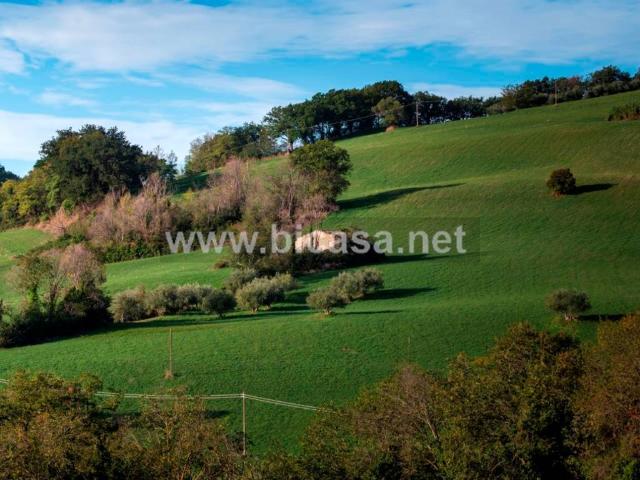 Appartamento in vendita a Pesaro PU