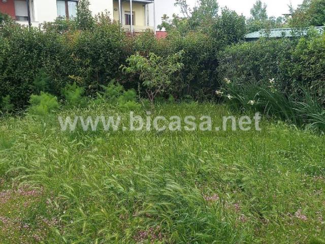 Appartamento in vendita a Pesaro PU