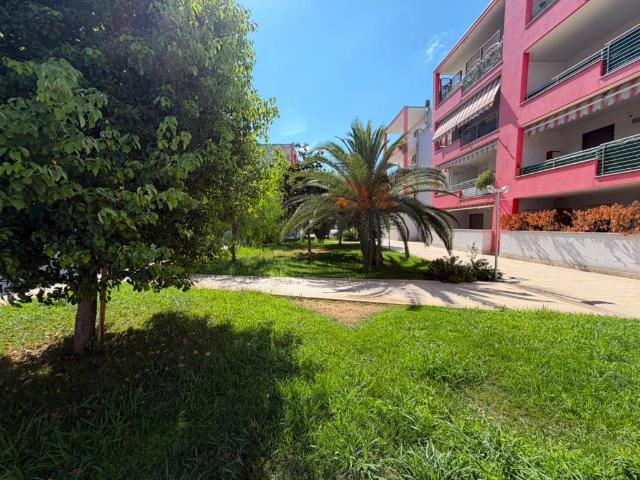 Appartamento in vendita a Pescara PE