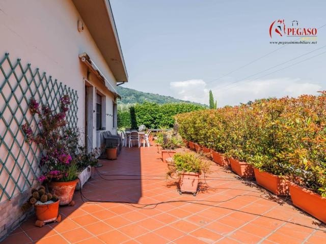 Appartamento in vendita a Pescia PT