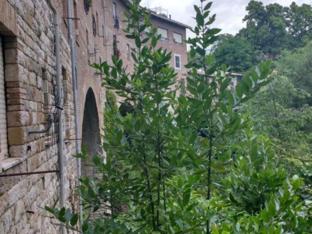 Appartamento in vendita a Perugia