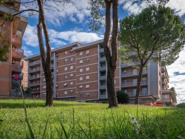 Appartamento in vendita a Perugia PG