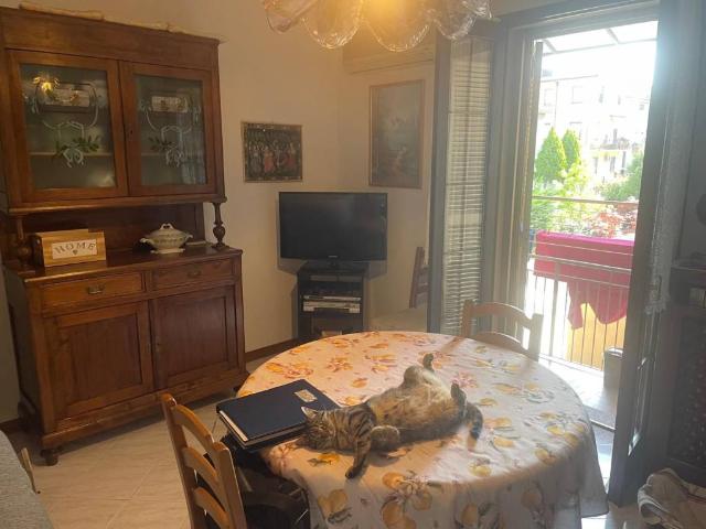 Appartamento in vendita a Piacenza PC