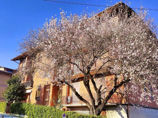 Appartamento in vendita a Piegaro PG
