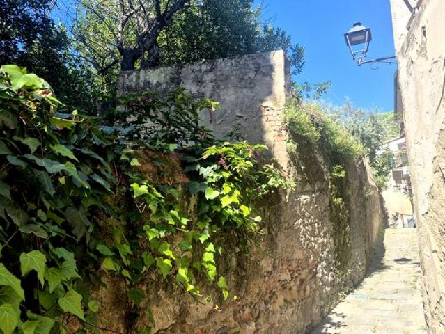 Appartamento in vendita a Pieve a Nievole PT