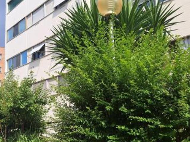 Appartamento in vendita a Pisa 122 mq Rif: 1424231