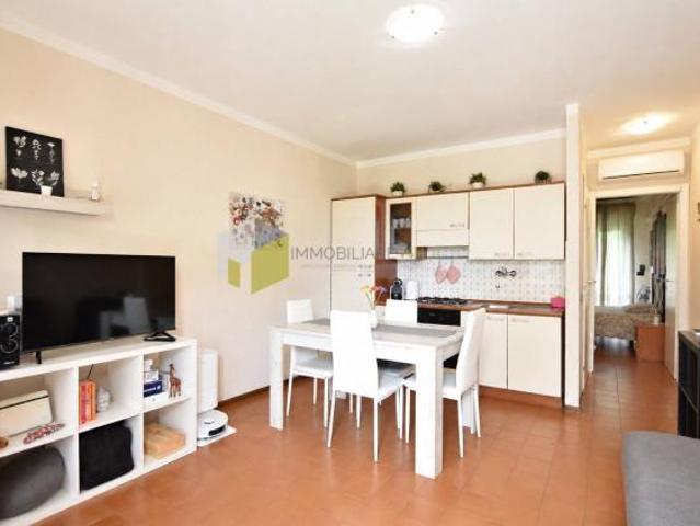 Appartamento in vendita a Pisa 43 mq Rif: 1411380