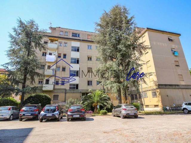 Appartamento in vendita a Pisa PI