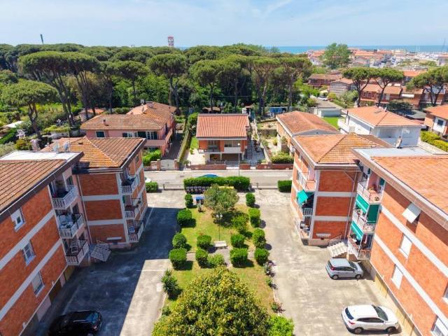 Appartamento in vendita a Pisa PI