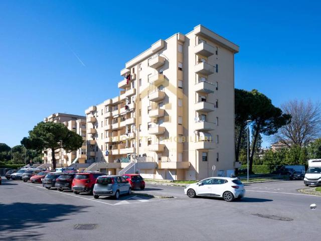 Appartamento in vendita a Pisa PI