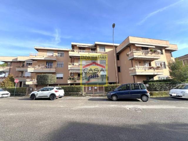 Appartamento in vendita a Pisa PI