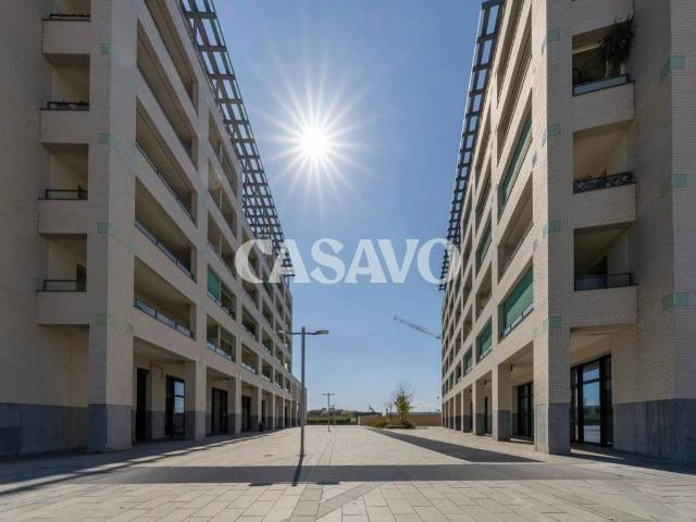 Appartamento in vendita a Pisa PI