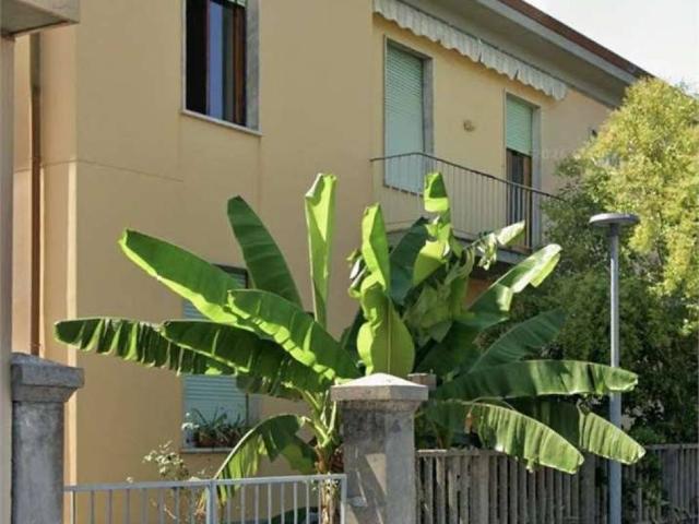 Appartamento in vendita a Pisa PI