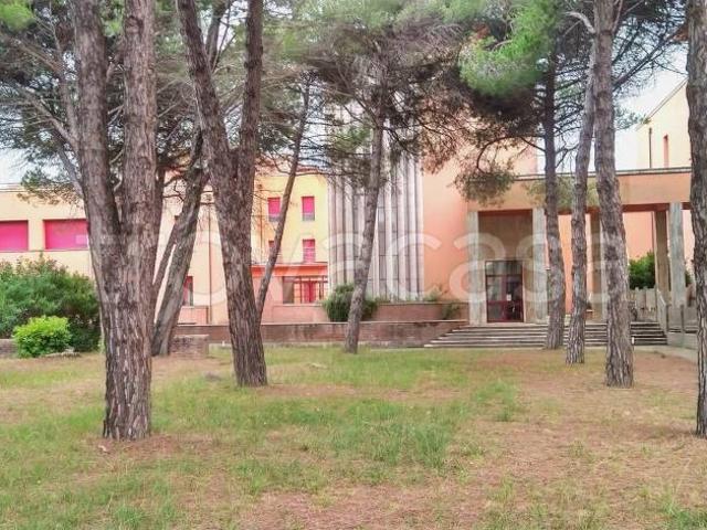 Appartamento in vendita a Pisa viale del Tirreno, 82, Tirrenia