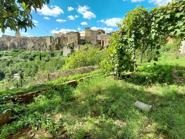 Appartamento in vendita a Pitigliano GR