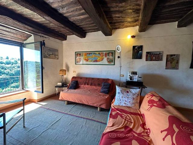 Appartamento in vendita a Pitigliano GR