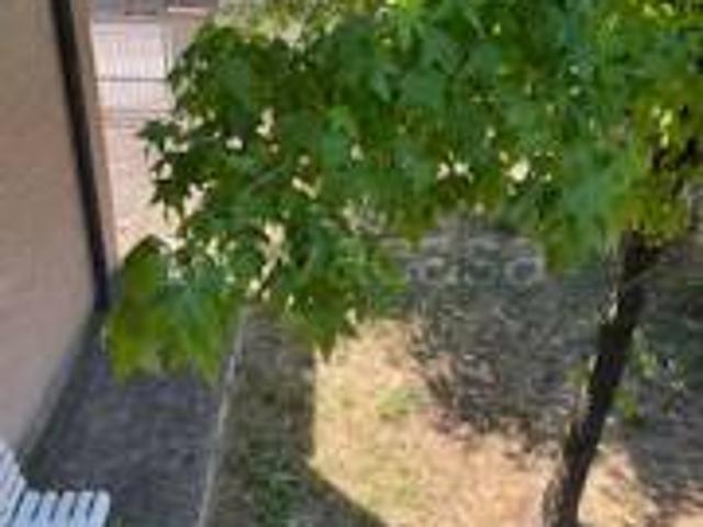 Appartamento in vendita a Reggio nell'Emilia via Nello Lasagni, 2, Marmirolo Bagno