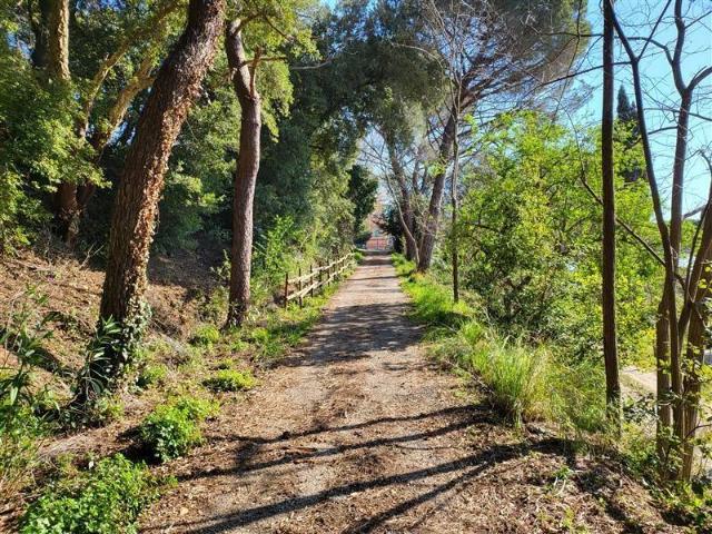Appartamento in vendita a Riparbella PI