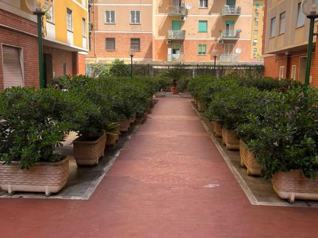 Appartamento in vendita a Roma RM