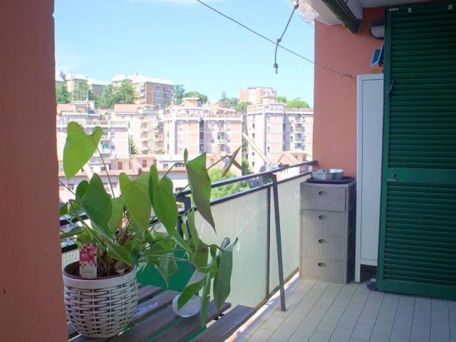 Appartamento in vendita a Roma RM