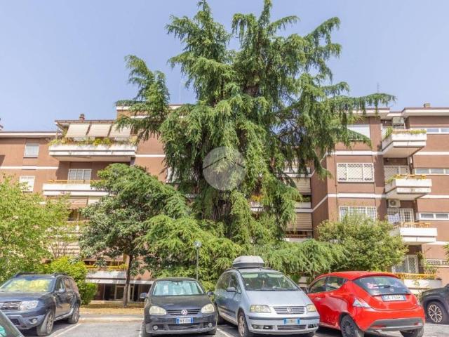 Appartamento in vendita a Roma RM