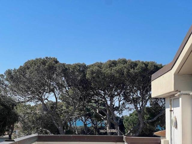 Appartamento in vendita a Rosignano Marittimo