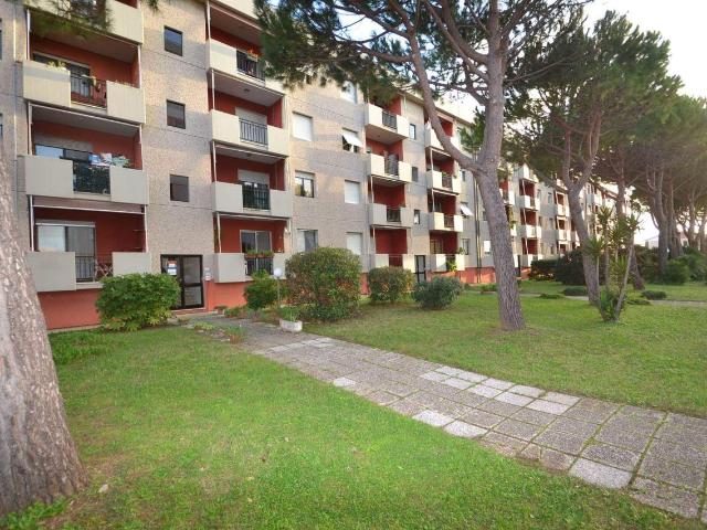 Appartamento in vendita a Rosignano Marittimo