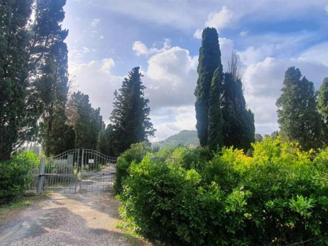 Appartamento in vendita a Rosignano Marittimo