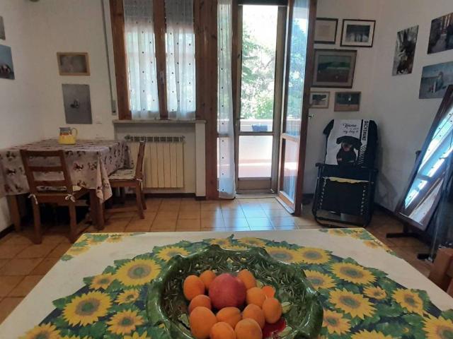 Appartamento in vendita a Rosignano Marittimo LI