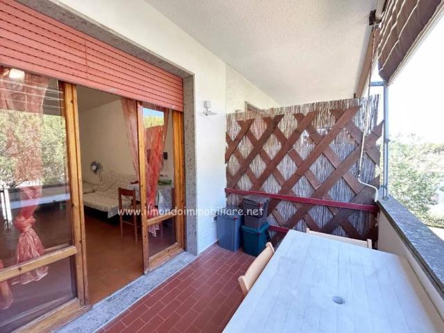 Appartamento in vendita a Rosignano Marittimo LI