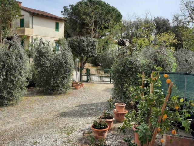 Appartamento in vendita a Rosignano Marittimo LI